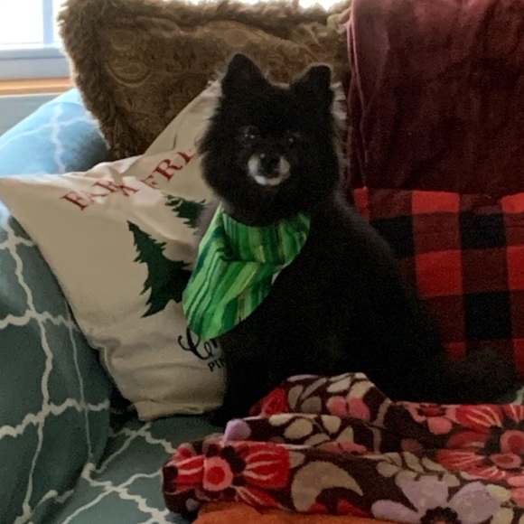 Meet your Posher, Andrea - Picture 2 of 7